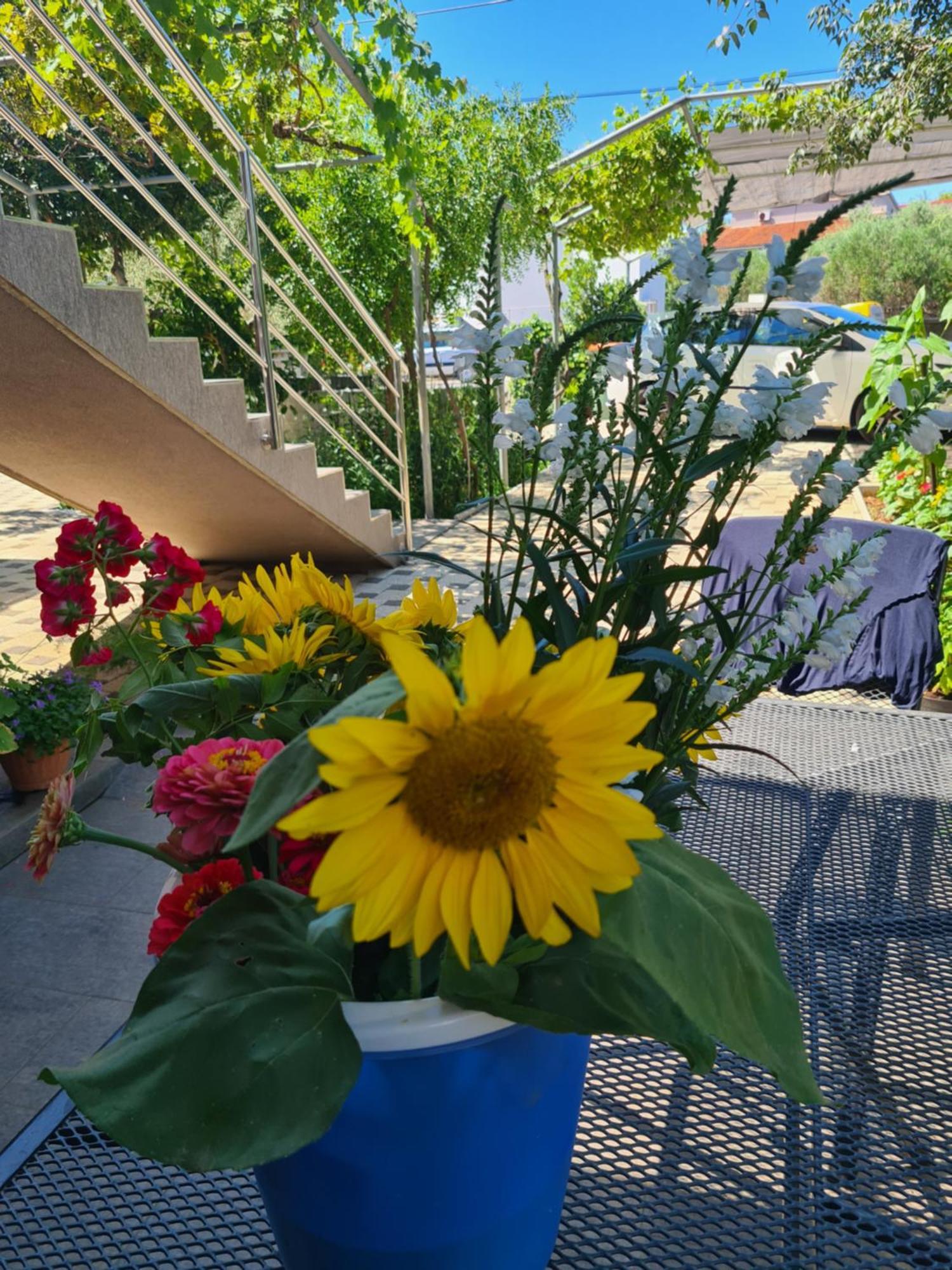 Romeo Appartement Sukošan Buitenkant foto